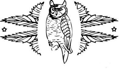 Screech Owl Design